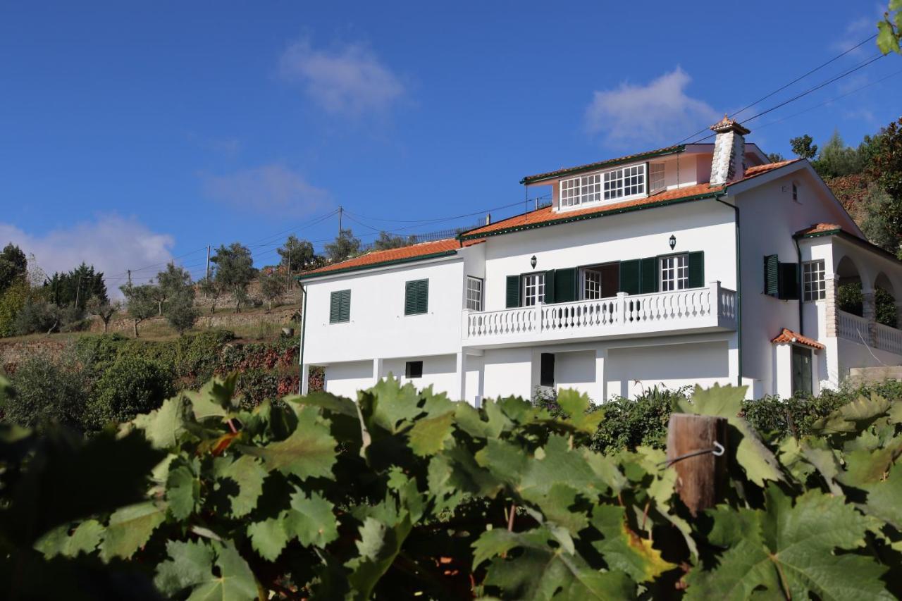 Villa Samaritana - Casa Da Vinha Vila Marim Exteriér fotografie