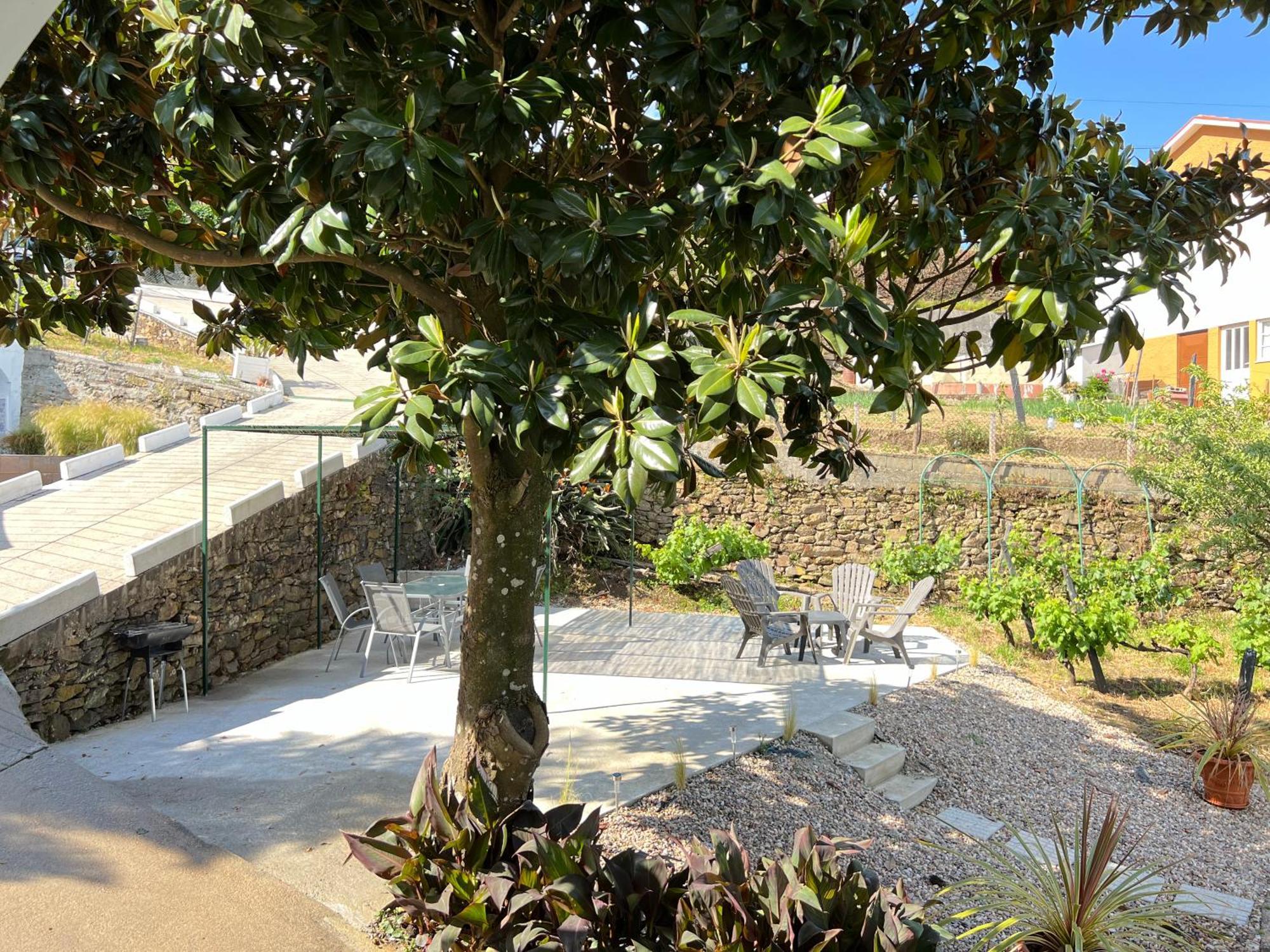Villa Samaritana - Casa Da Vinha Vila Marim Exteriér fotografie
